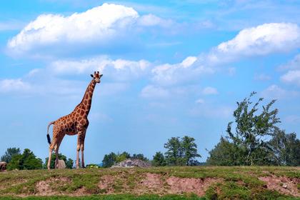 Monde Sauvage Safari Parc