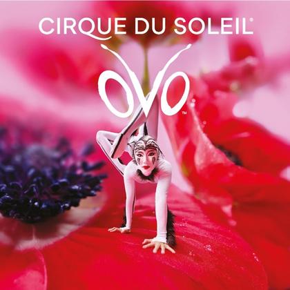 À nouveau disponible : Crazy Deal Cirque du Soleil