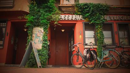 Brasserie De Vlegel (Mortsel)